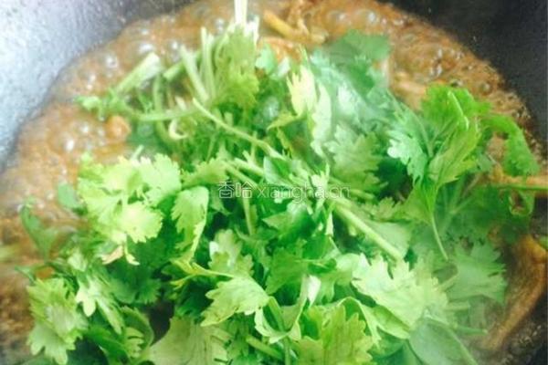 香菜羊肉的做法图解5