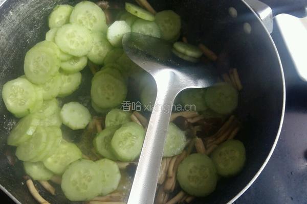 茶树菇炒黄瓜的做法图解4