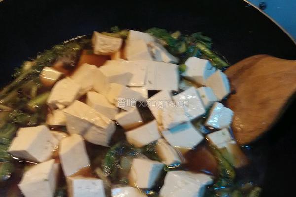 小白菜炖豆腐的做法图解5