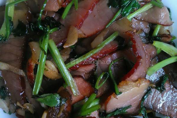 香菜炒腊肉