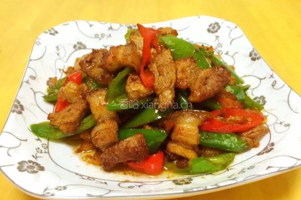 农家小炒肉的做法图解9