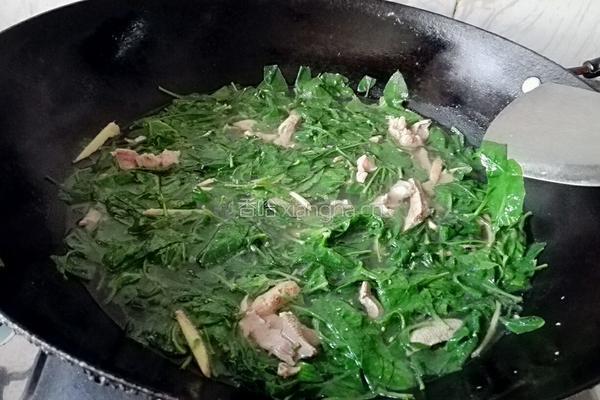 猪肝瘦肉枸杞叶汤的做法图解6