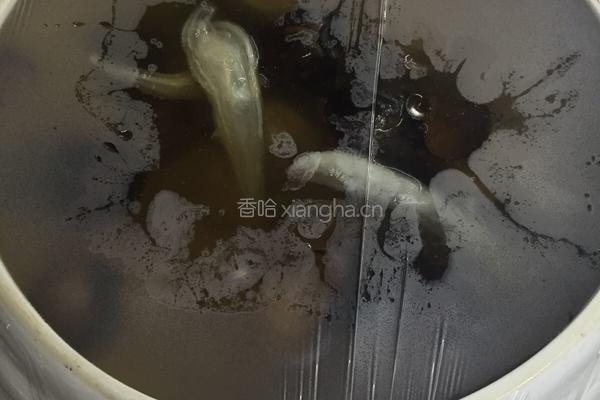 花胶黑蒜炖排骨的做法图解6