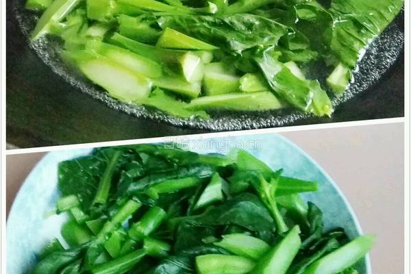 蒜蓉芥蓝炒萝卜干的做法图解7