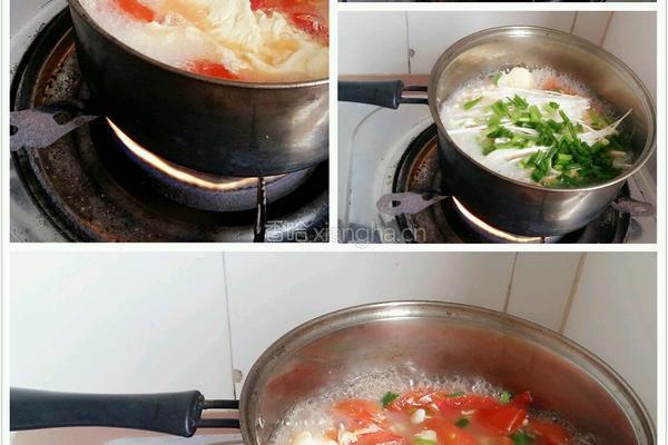 西红杮金针菇鸡蛋汤的做法图解12