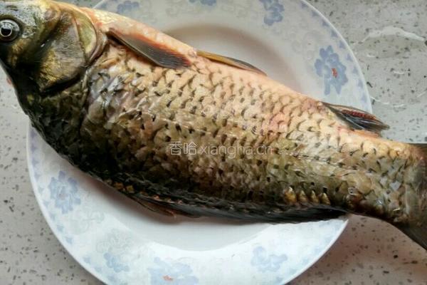 剁椒豆鼓蒸鲫鱼的做法图解1
