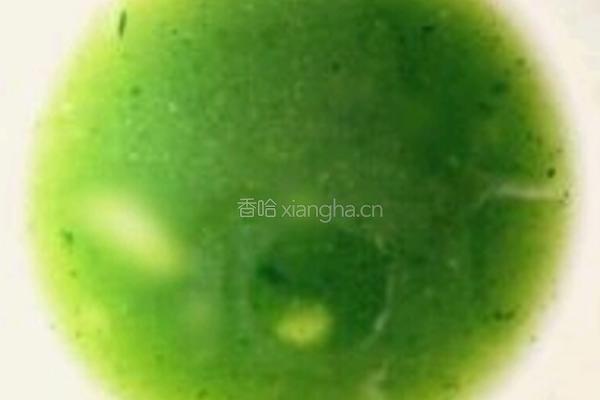 翠衣蒸包的做法图解1