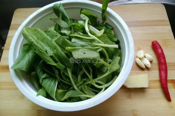 蒜蓉小青菜的做法图解1
