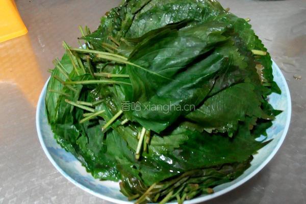 苏子叶咸菜的做法图解3