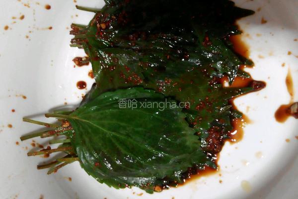 苏子叶咸菜的做法图解10