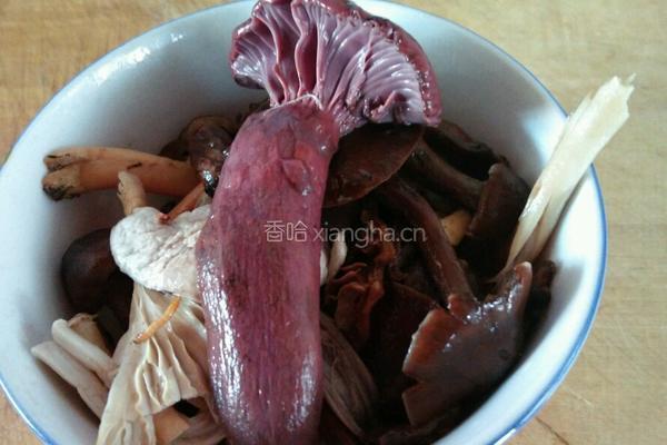 东北蘑菇猪肉酱的做法图解2