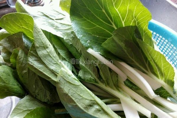 冬菇炒小白菜的做法图解1