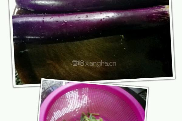 红烧茄子的做法图解1
