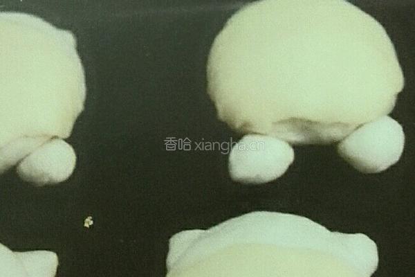 龙猫面包的做法图解3