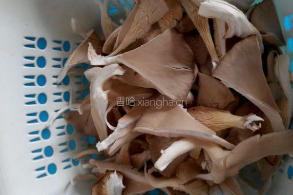 炒鲜蘑的做法图解1