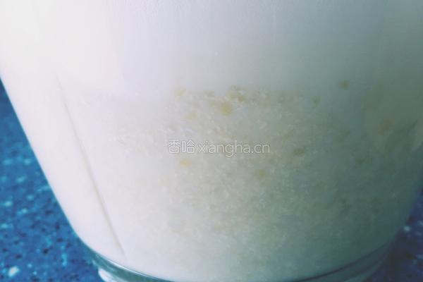自磨豆浆(基础篇）的做法图解5