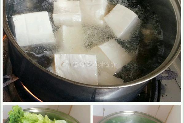 肉未豆腐黑木耳生菜汤的做法图解10