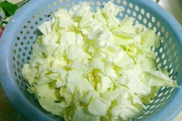 手撕圆椰菜的做法图解2