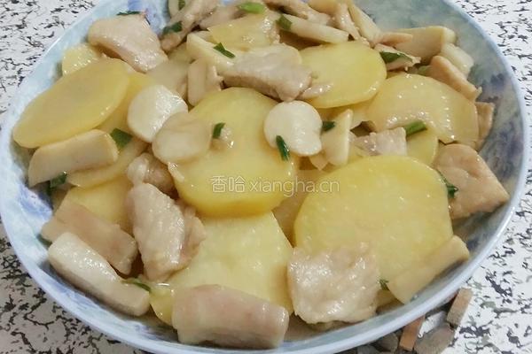 杏鲍菇土豆肉片