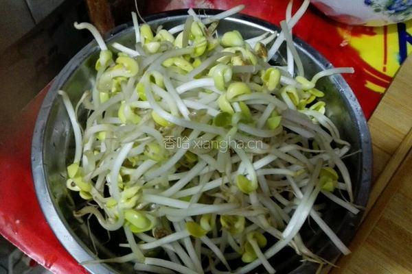 豆芽炒豆腐的做法图解2