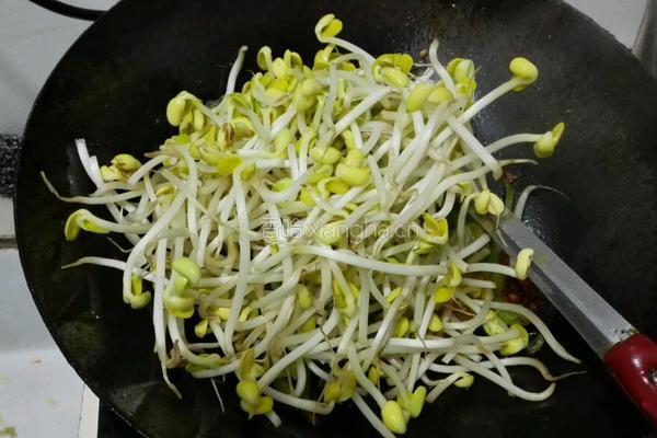 豆芽炒豆腐的做法图解6