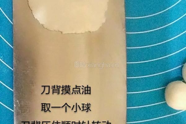 水晶虾饺的做法图解4