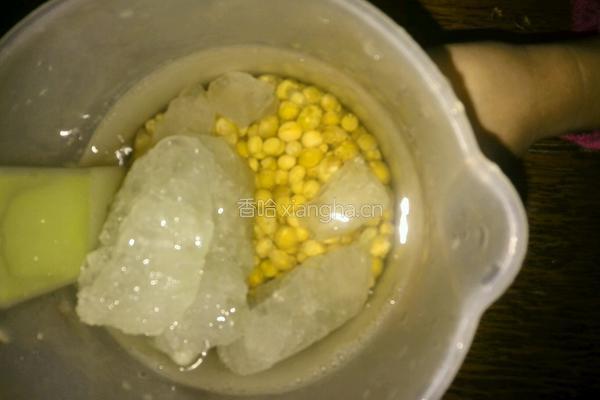 新鲜黄豆浆的做法图解3