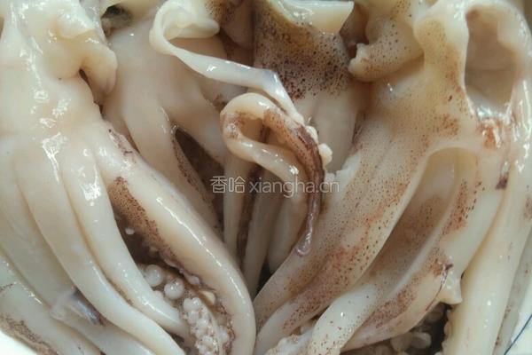 “有奖征文”火爆鱿鱼的做法图解2