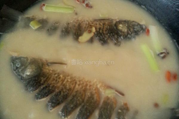 白汤鲫鱼的做法图解3