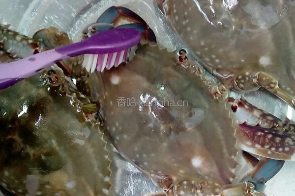 姜葱炒花蟹的做法图解1