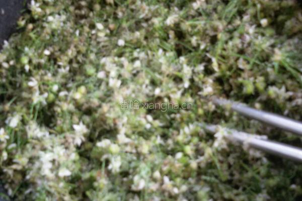 韭菜花酱的做法图解3