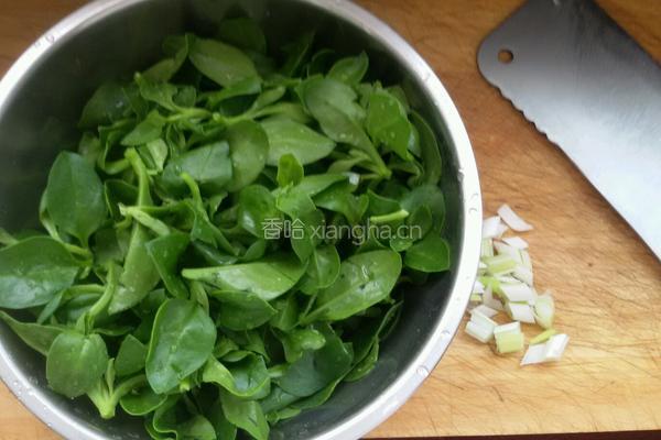 糖醋穿心莲的做法图解1