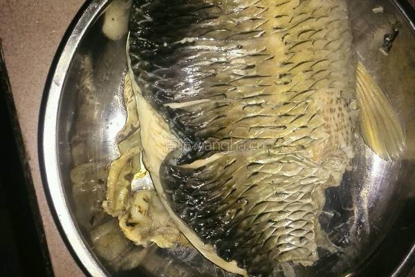 清蒸鲜鲩的做法图解4