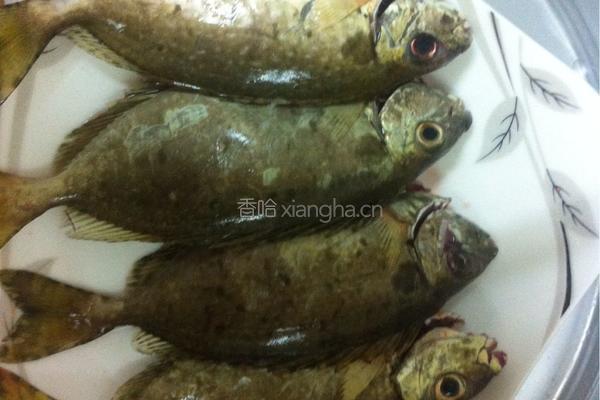 清蒸泥猛鱼的做法图解4