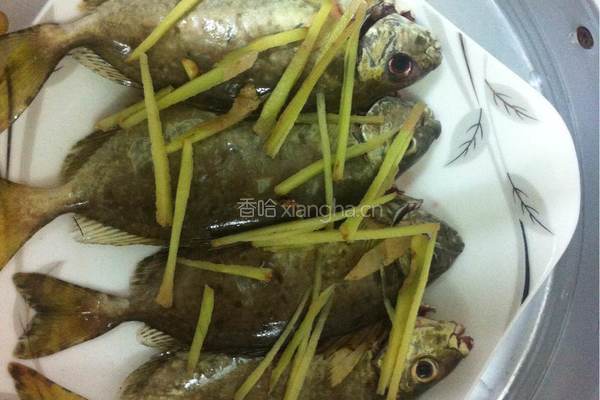清蒸泥猛鱼的做法图解5