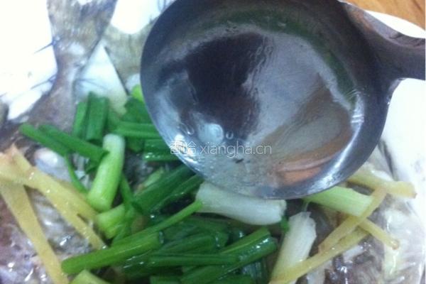 清蒸泥猛鱼的做法图解9