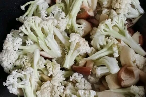 蚝油菌菇蔬的做法图解4