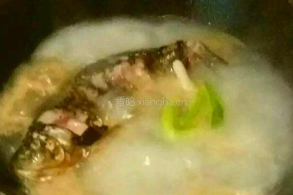 鲫鱼萝卜丝汤的做法图解5