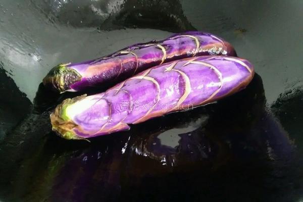 韭菜烧茄子的做法图解4