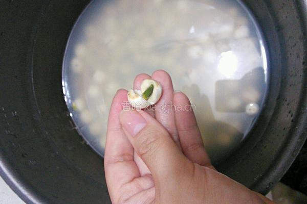 白莲蓉月饼馅料的做法图解2