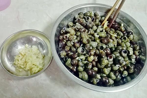 紫苏炒石螺的做法图解5