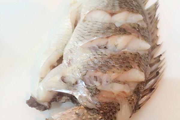 清蒸黄刺鱼的做法图解4