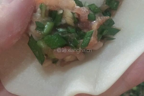 韭菜猪肉饺的做法图解5