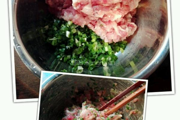 肉馅煎饼的做法图解2