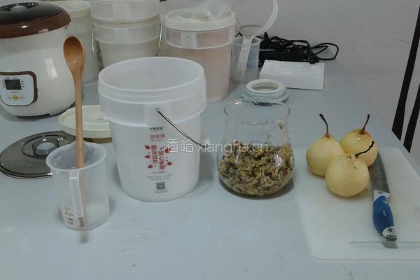 菊花雪梨酵素的做法图解1