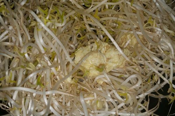 豆芽炒河粉的做法图解5