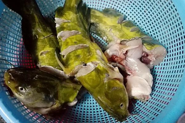 蒜蓉蒸黄骨鱼的做法图解1