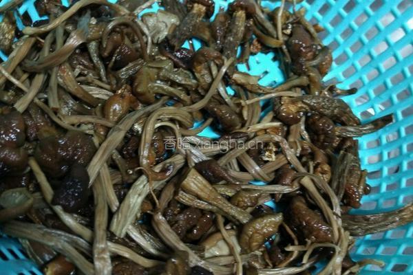 菇菌酱的做法图解1