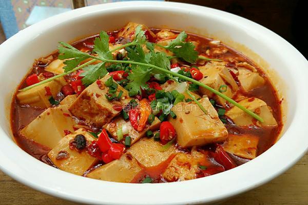 水煮香辣豆腐――JIARU 的做法图解15