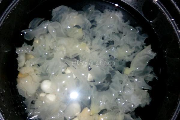 红枣银耳莲子羹的做法图解4
